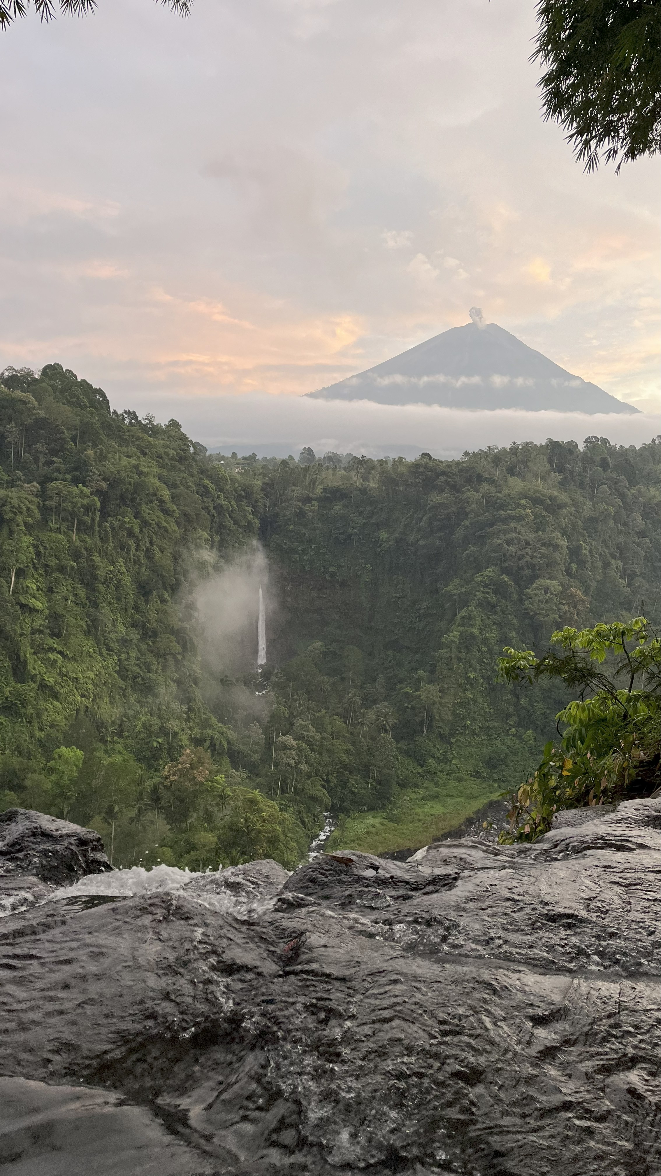 Nature at Tumpak Sewu